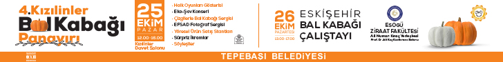 BAL KABAĞI 