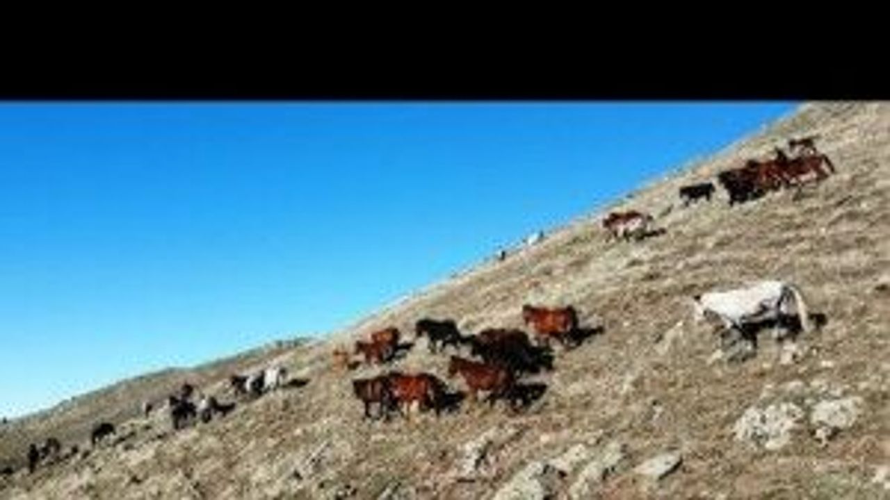 Emirdağ'dan film gibi görüntüler