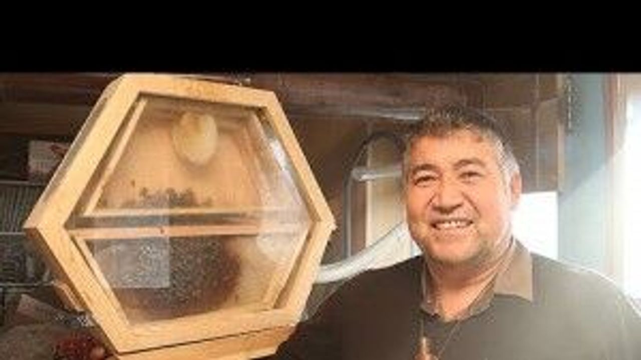 Eskişehir'de tasarladı... Arı gözlemleme kovanı “arıvaryum” nedir?