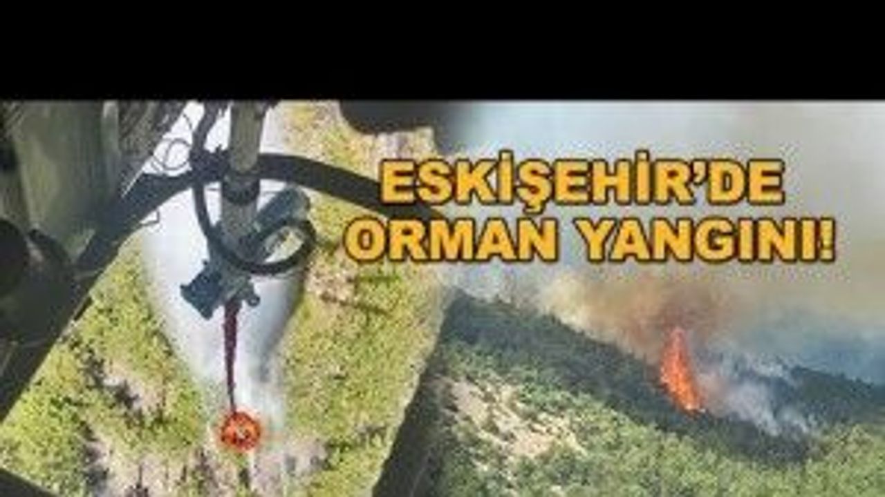 Eskişehir'de orman yangını!