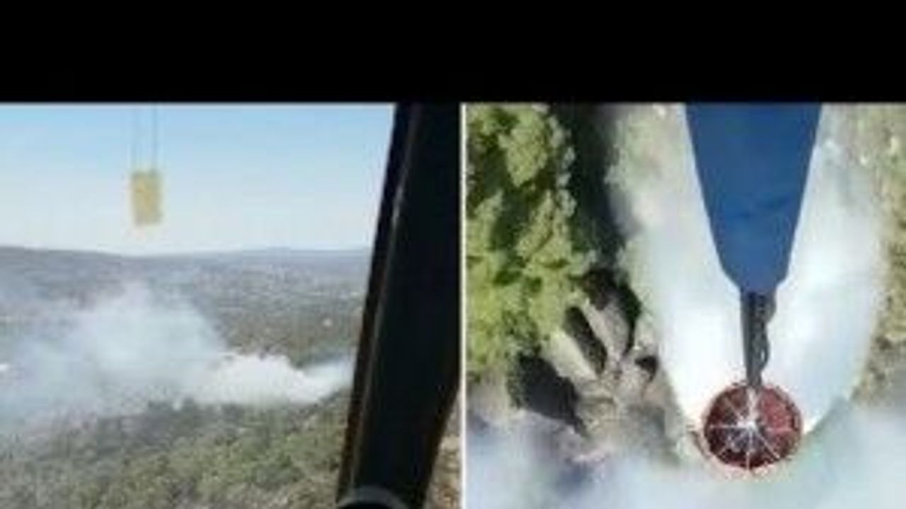 Muğla Milas'ta orman yangını! Havadan müdahale