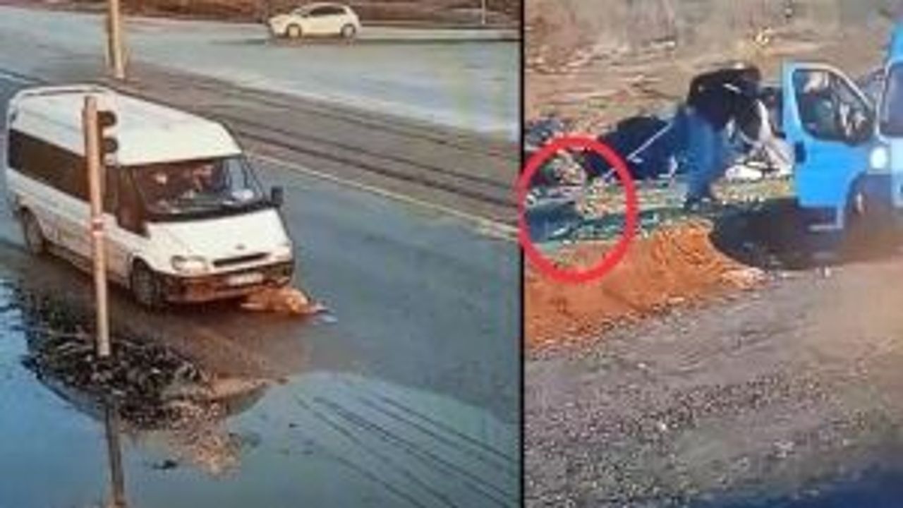 Odunpazarı Belediyesi'ne büyük tepki! Hayvanseverler isyan etti