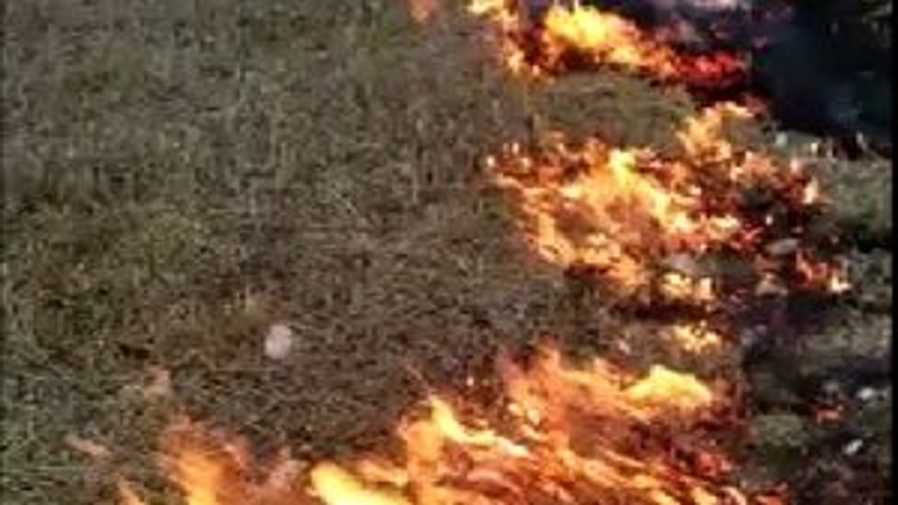 Eskişehir'de yangın!