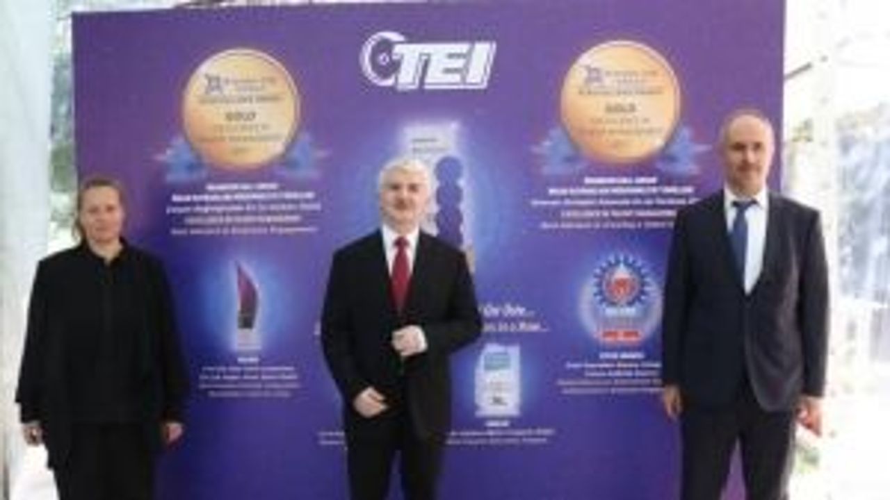 TEI'den altın başarı