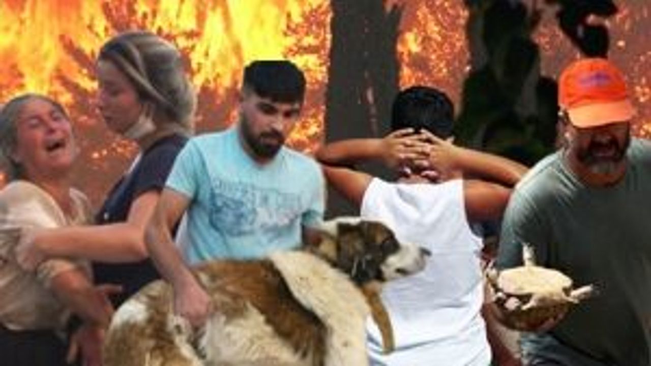 Yangın: Türkiye'nin alevlerle mücadelesi