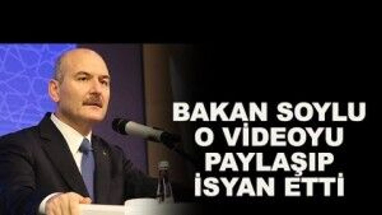 Bakan Soylu o videoyu paylaşıp isyan etti