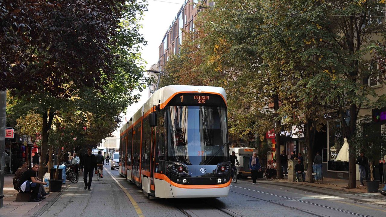 Tolu Taşıma Ücretsiz Olacak
