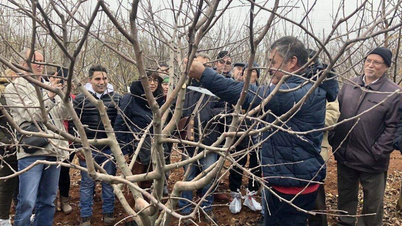 Budama eğitimi kayıtları başladı