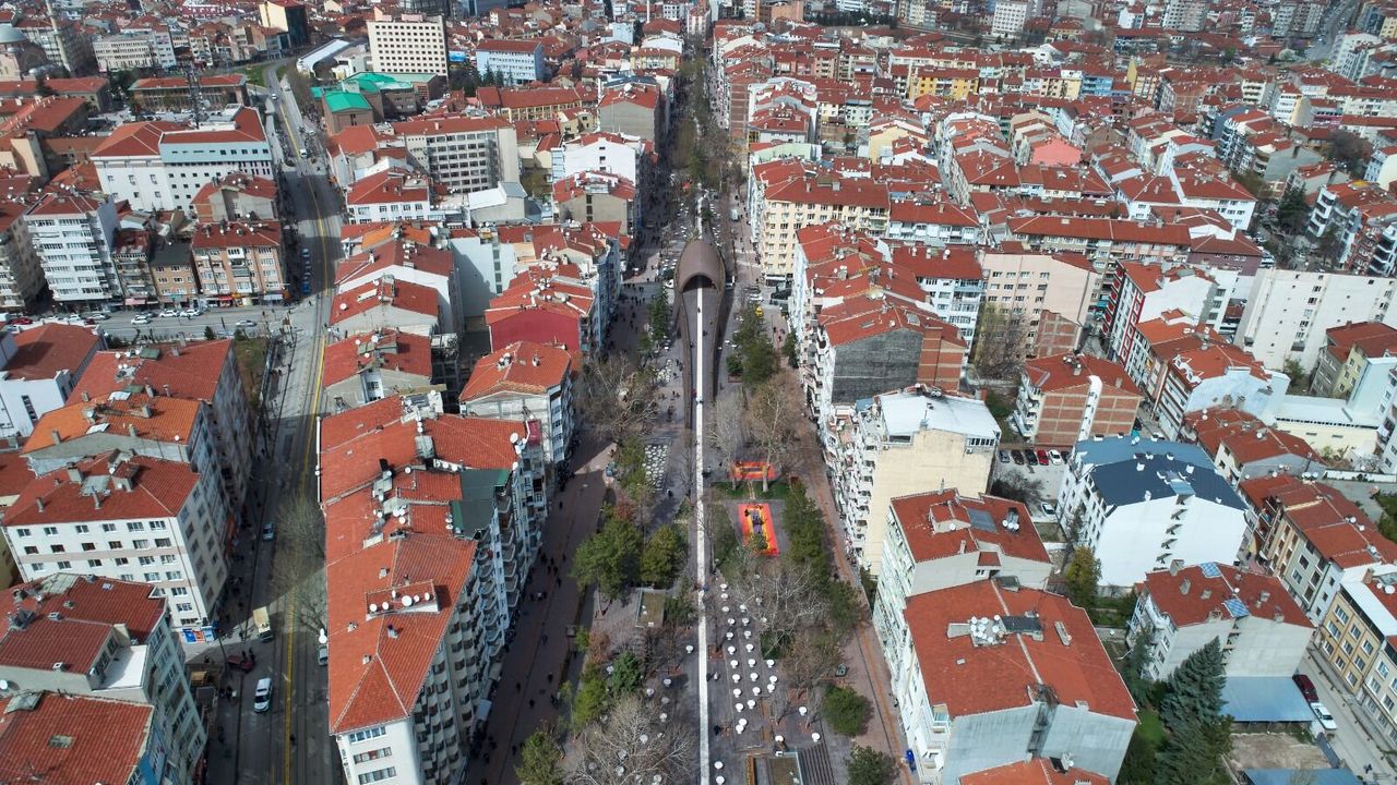 Ağaç budama çalışmaları başlıyor