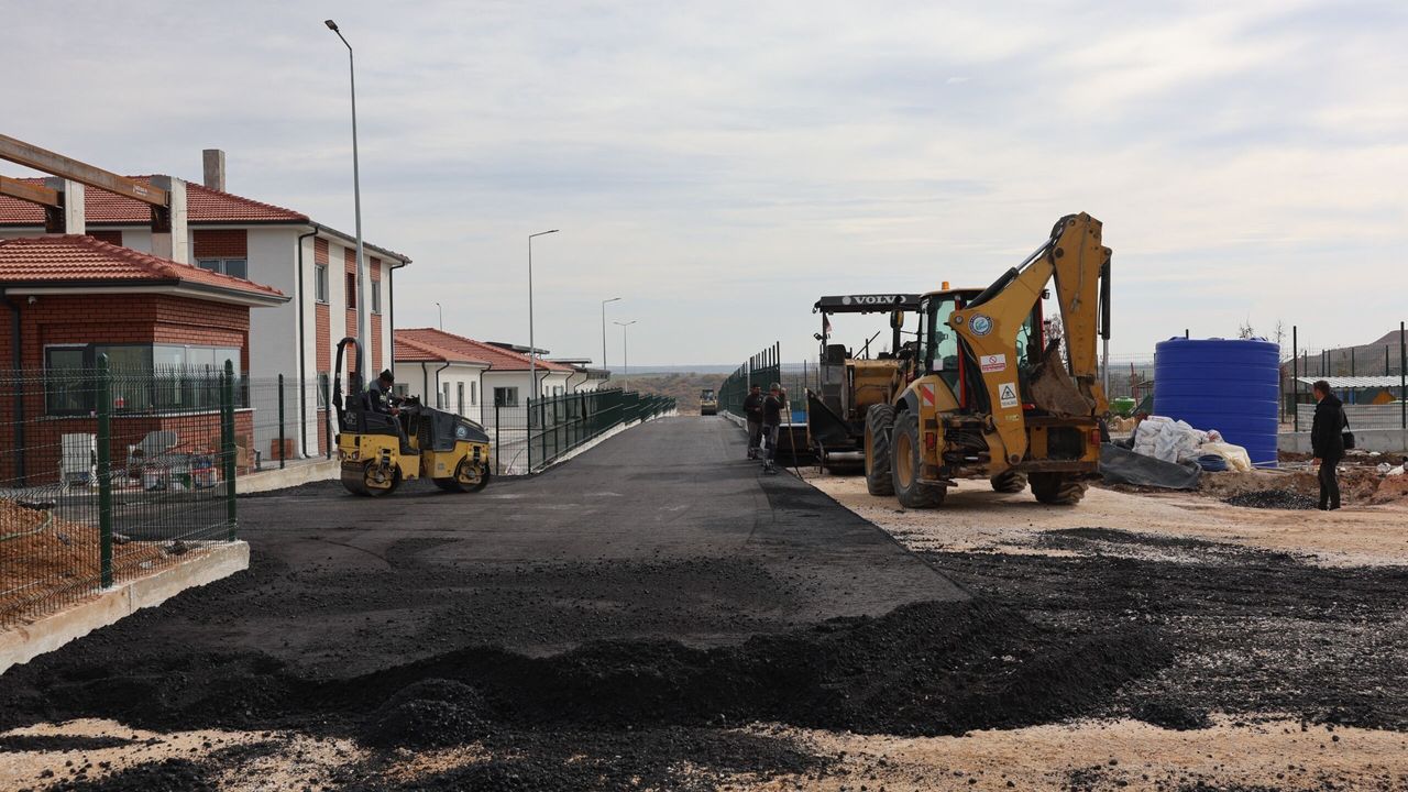 Hayvan barınağında sona doğru: Çalışmalar tam gaz sürüyor