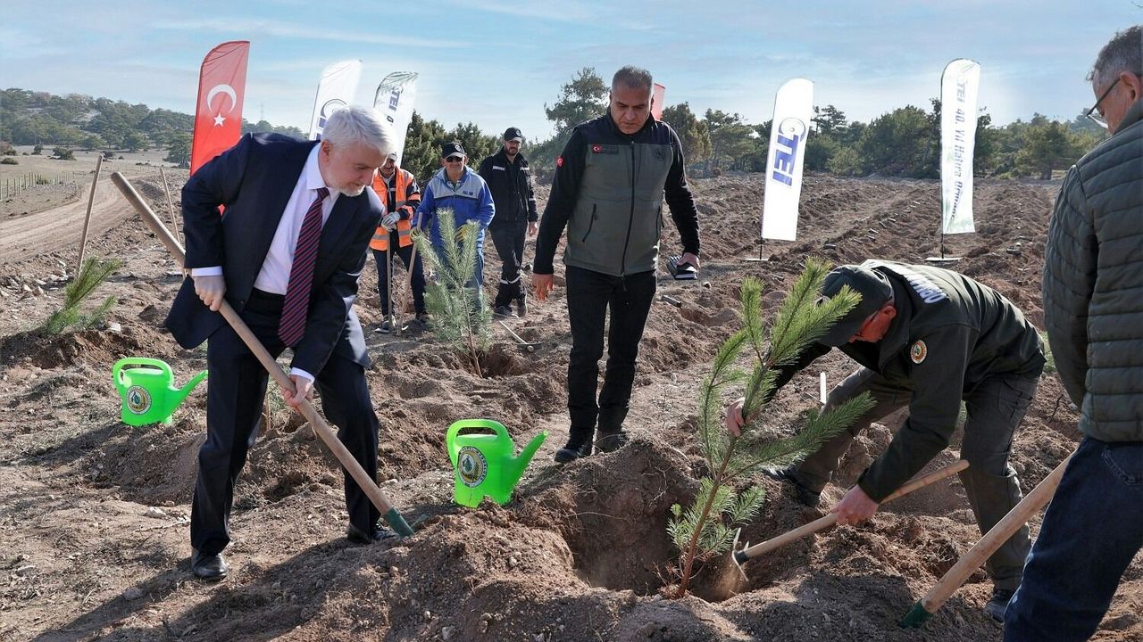 TEI’den 17 Bin Fidanlık 40. Yıl Hatıra Ormanı Kuruldu