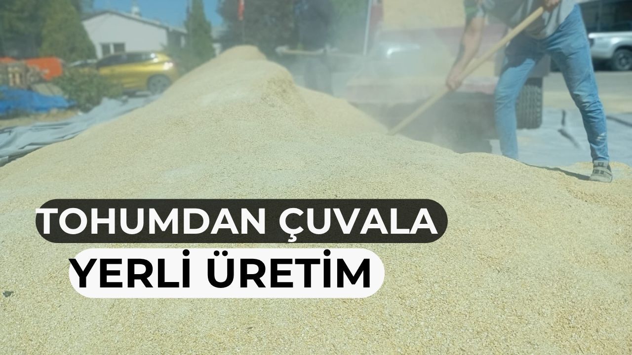 Büyükşehirden yemlik tahıl karışımı