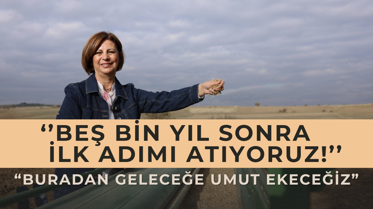 Küllüoba’dan Günümüze: 5 Bin Yıllık Kavılca Buğdayı Yeniden Filizleniyor