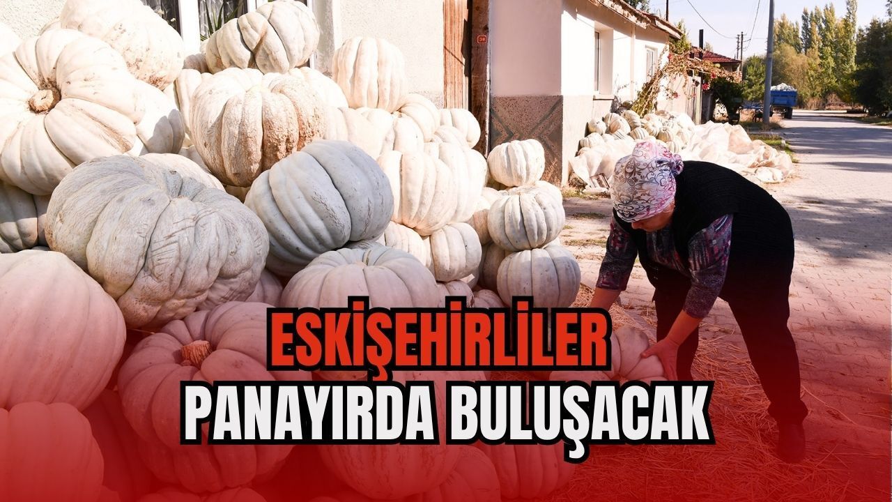 Bal kabağında hasat zamanı
