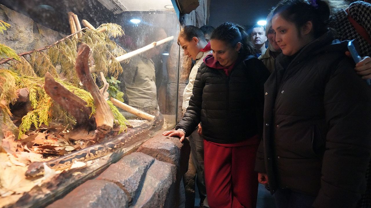 Özel bireyler gezide eğlendi