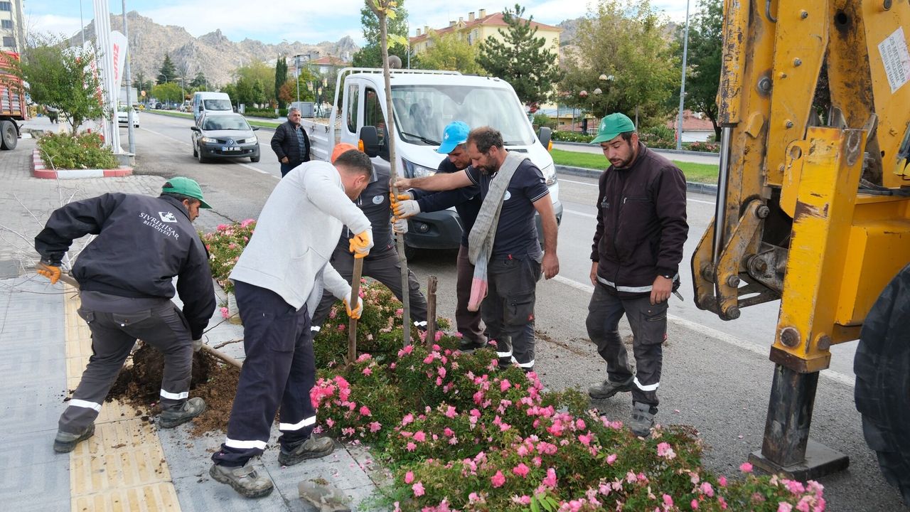 Sivrihisar’da Yeşil Alanlarda Bakım ve Fidan Dikimi