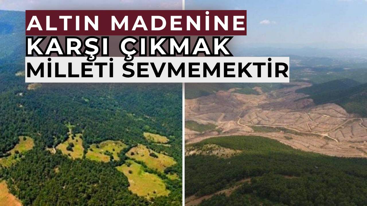 Çevreye zarar verdiği görülmedi