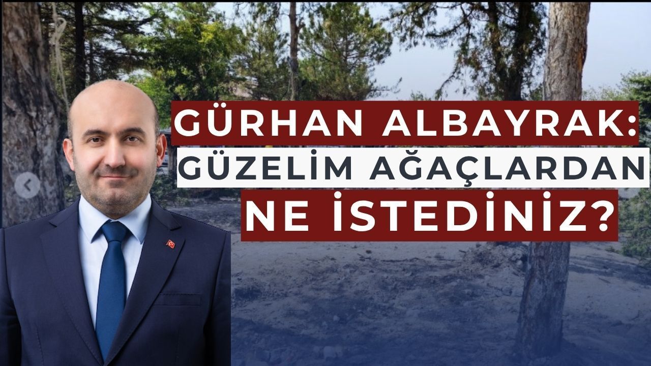 Albayrak'tan ağaç tepkisi