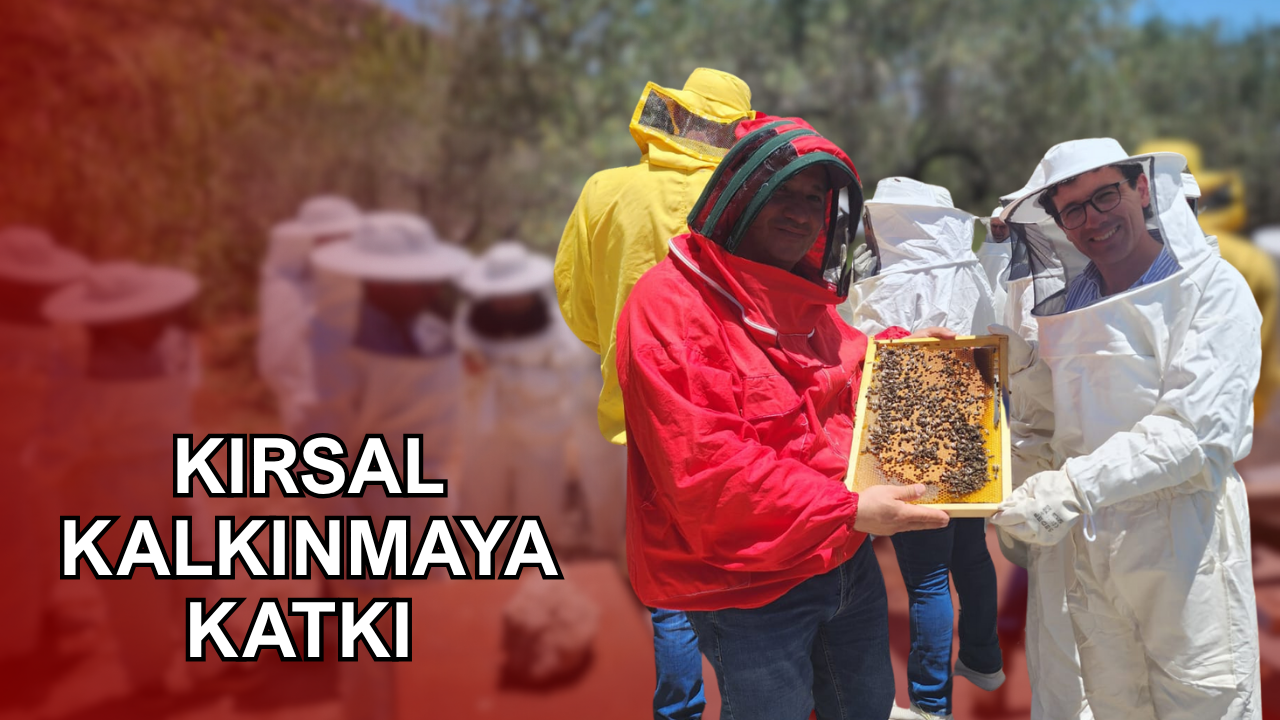 En iyi bal projesi için İtalya’da toplantı