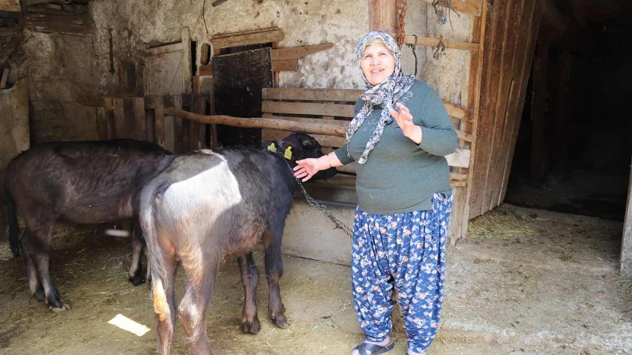 Büyükşehir’den üreticiye destek