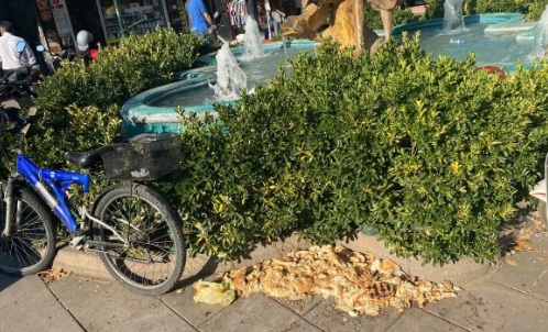 Kuşlar İçin Bırakılan Ekmekler Şehir Merkezinde Kirliliğe Yol Açtı