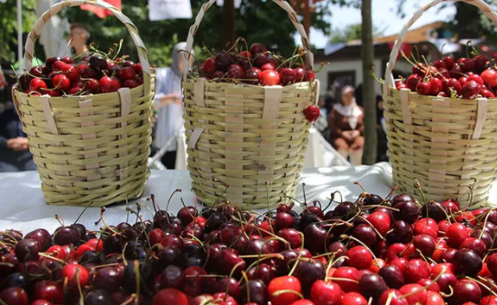 Mihalıççık Belediyesi’nden Son Dakika Kararı! Festival Ertelendi Mi?