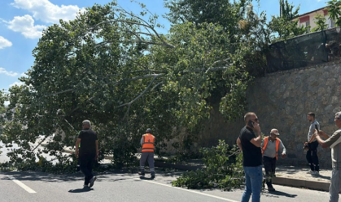Eskişehir’de Devrilen Ağaç Trafiği Aksattı