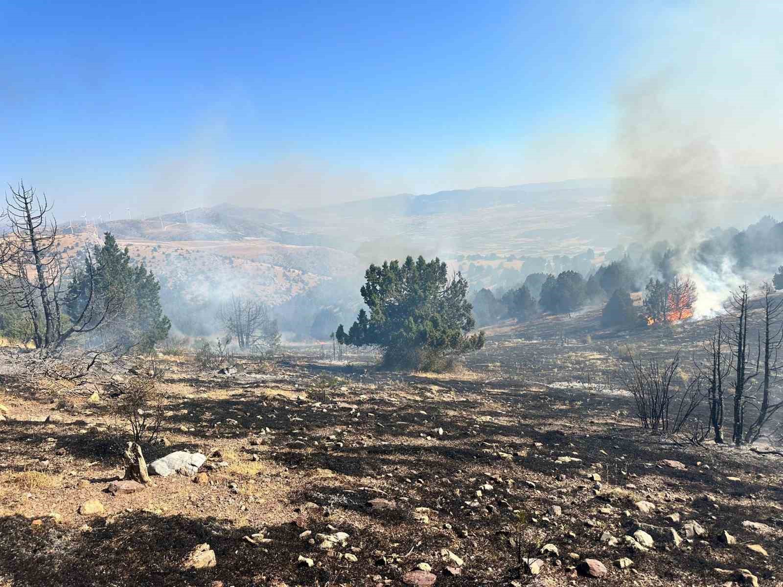 Dinar’da orman yangını