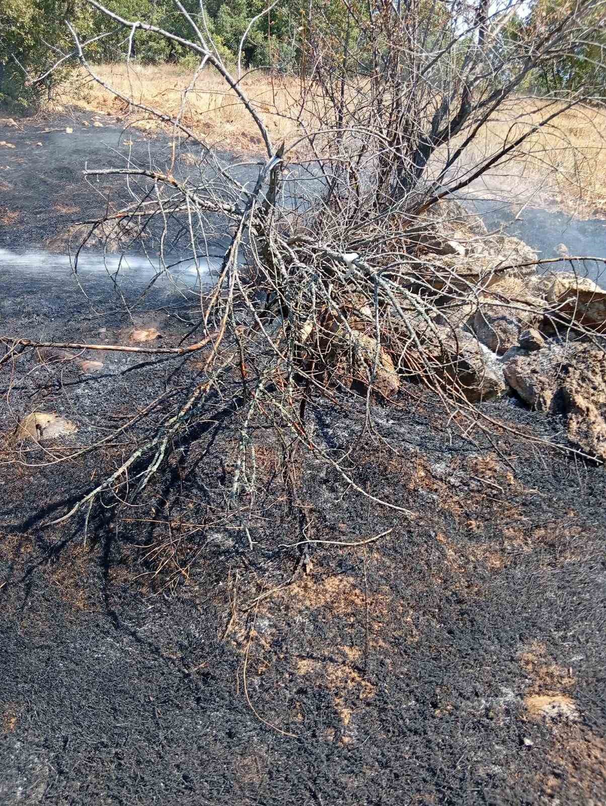 Bilecik’te köy yakınında ot yangını
