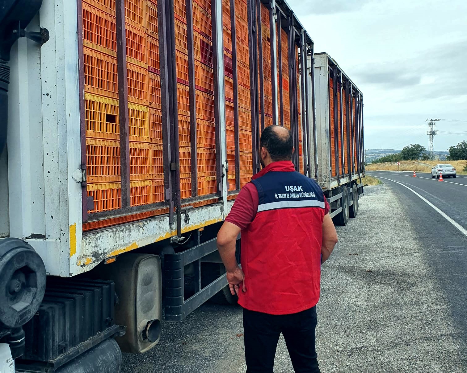 Uşak’ta hayvan hastalıklarına karşı yol kontrol ve denetimler aralıksız devam ediyor