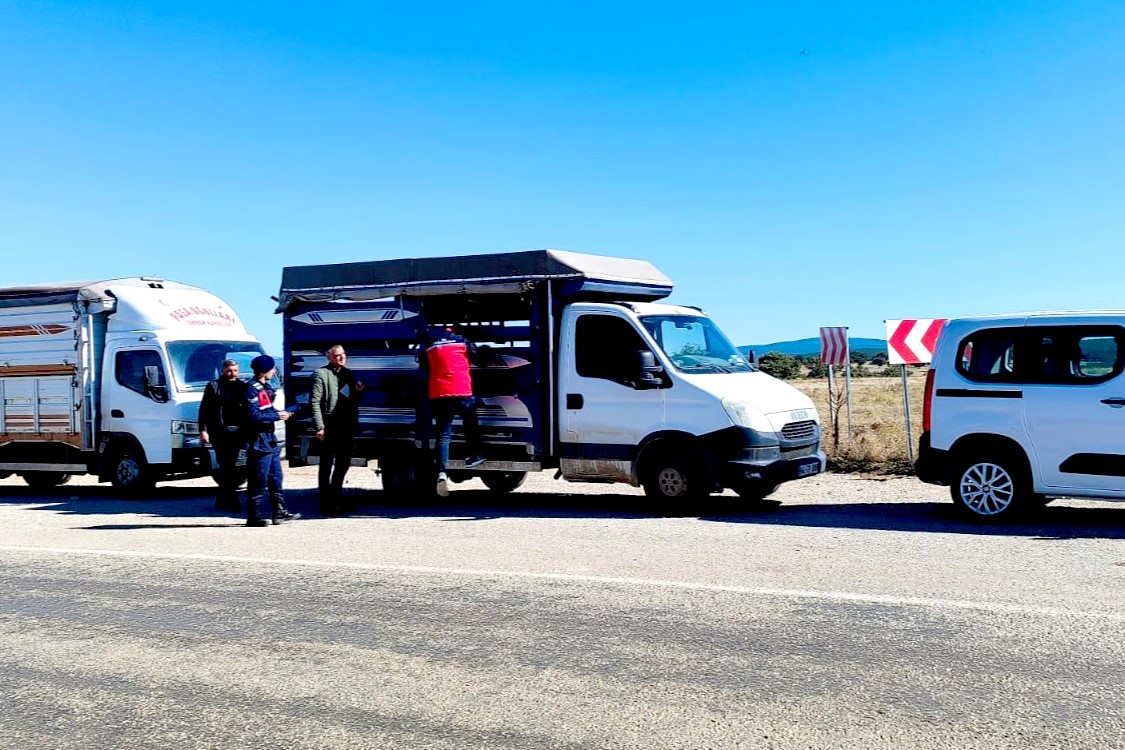 Uşak’ta hayvan sağlığı için yol kontrolleri sürüyor