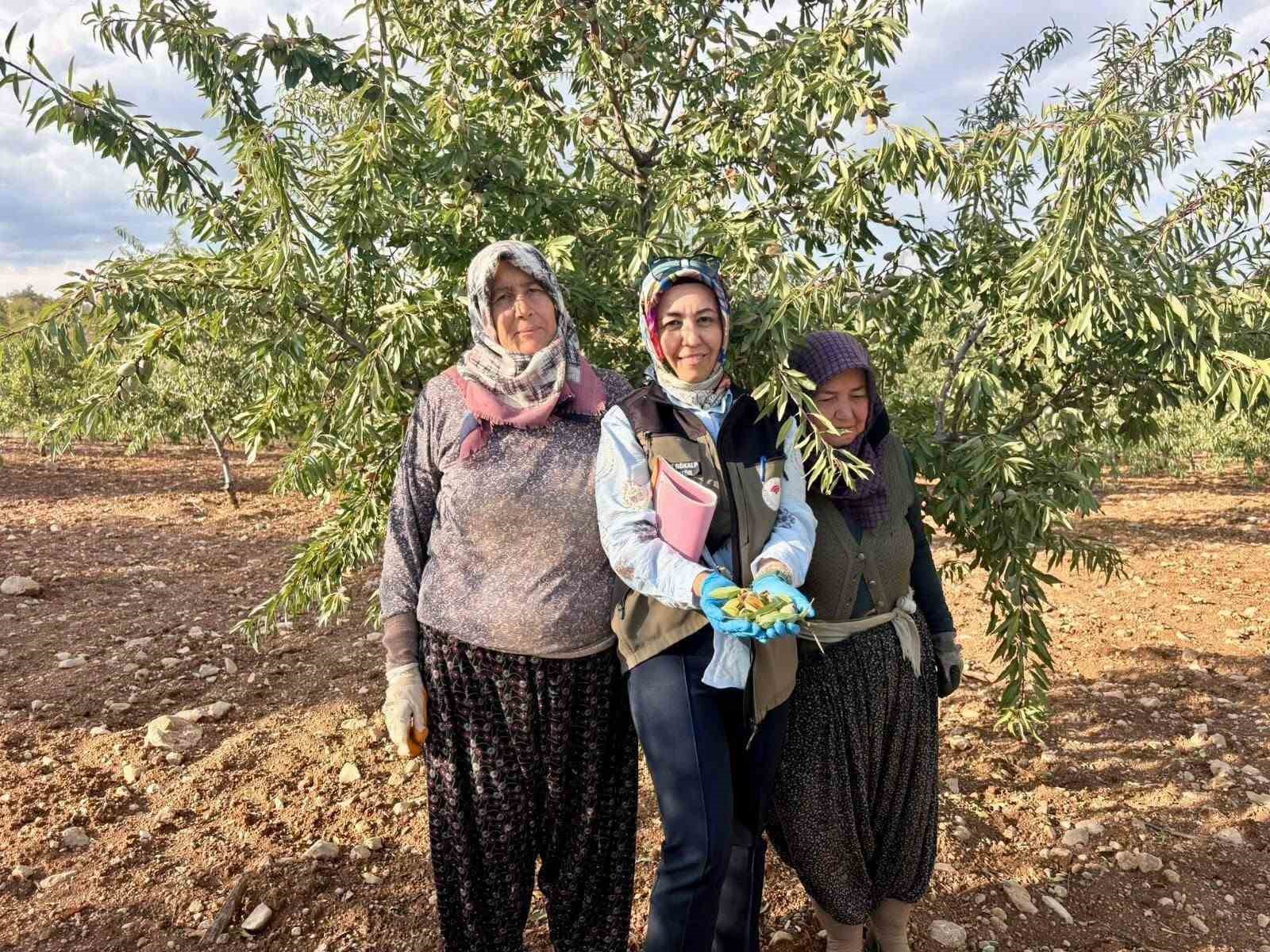 Meyve bahçelerinde ürün verimliliği için kontroller sürüyor