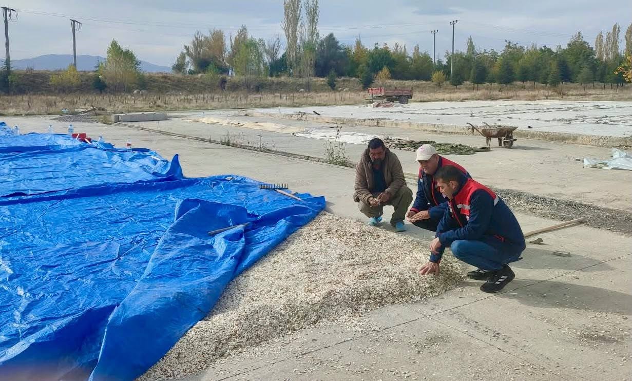 Çay’da kabak çekirdeği ve elma üreticilerine saha ziyareti