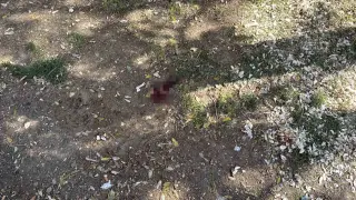 Parkta bir kişiyi döner bıçağıyla yaralayan saldırgan yakalandı