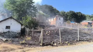 Bilecik’te orman yangınına sebebiyet veren şahıs gözaltına alındı