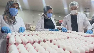Yumurta fiyatlarına kısa vadede zam beklenmiyor