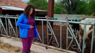 Evciler’de işletmelerin kapasite ve üretim şartları incelendi