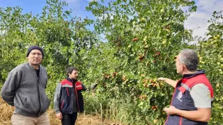 Başmakçı’da hünnap üretimi tarımsal çeşitliliğe katkı sağlıyor