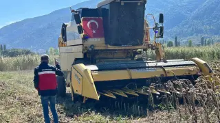 Simav’da Yüzde 75 hibeli ayçiçeğinde hasat kontrolü