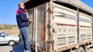 Canlı hayvan nakline yönelik denetimler sürüyor