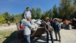 Domaniçli ceviz üreticileri destek bekliyor