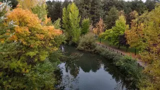 Eskişehir’de sonbahar manzarası mest etti