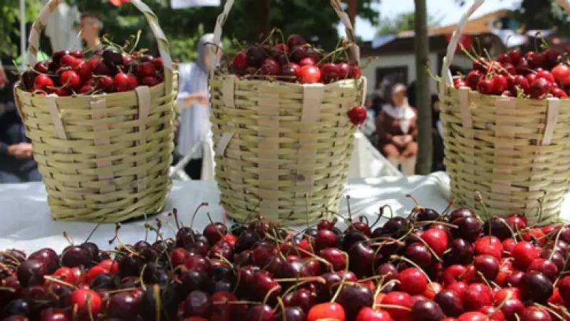 Mihalıççık Belediyesi’nden Son Dakika Kararı! Festival Ertelendi Mi?