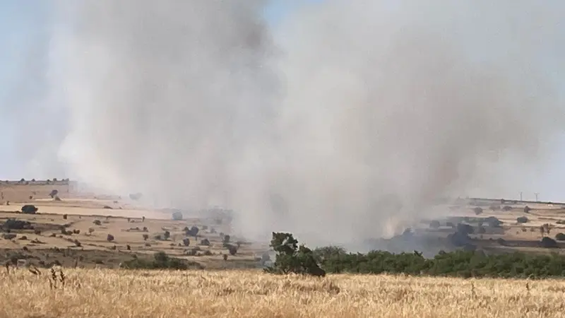 Seyitgazi'de korkutan orman ve tarım arazisi yangını