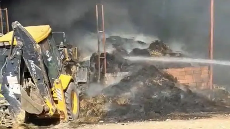 Eskişehir’de çiftlikte çıkan yangında 25 küçükbaş hayvan telef oldu