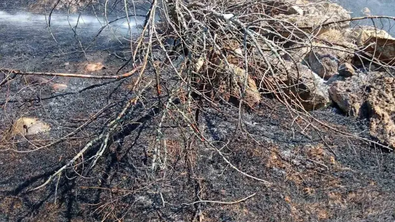 Bilecik’te köy yakınında ot yangını