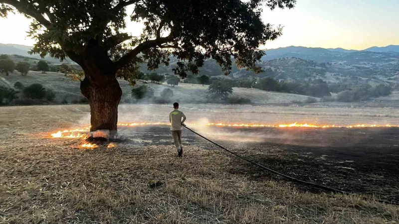 Hisarcık’ta anız yangını: 1 hektar alan zarar gördü