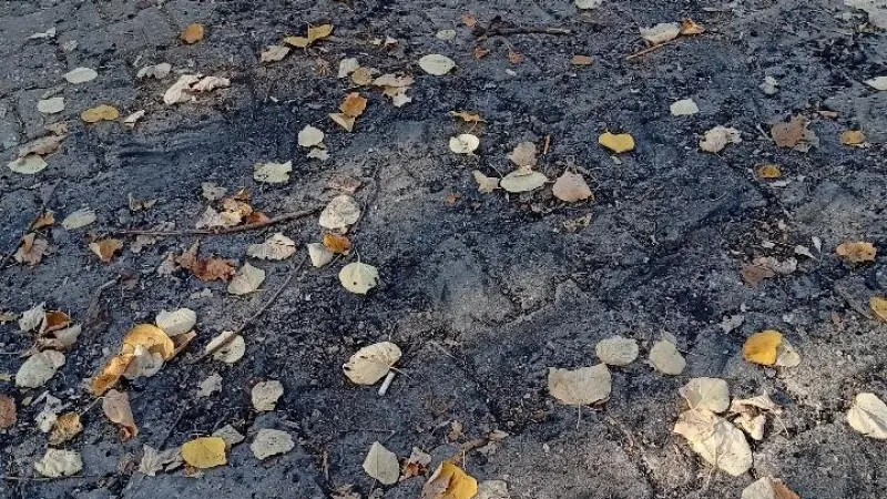 Bilecik’te parkın ortasında ateş yaktılar