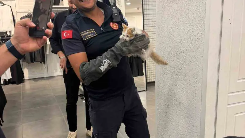 İtfaiye ekipleri duvarda mahsur kalan kedi ile parmaklıklara sıkışan köpeği kurtardı